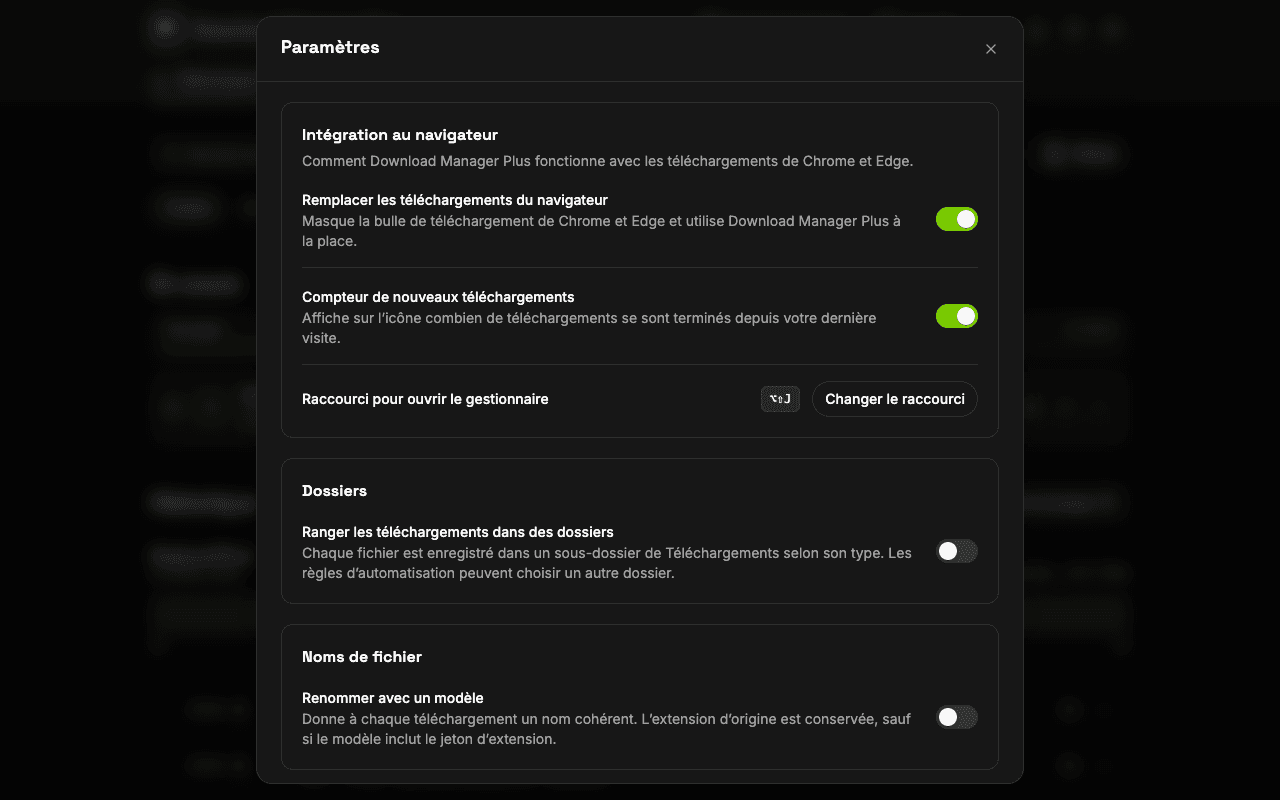 Page des paramètres de Download Manager Plus avec les options pour remplacer les téléchargements du navigateur, afficher le compteur sur l’icône, changer le raccourci clavier, régler les notifications et choisir le thème
